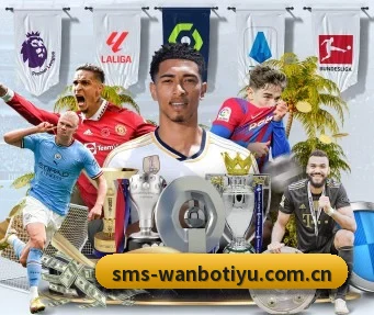万博体育入口 APP(WANBOSPORTS)