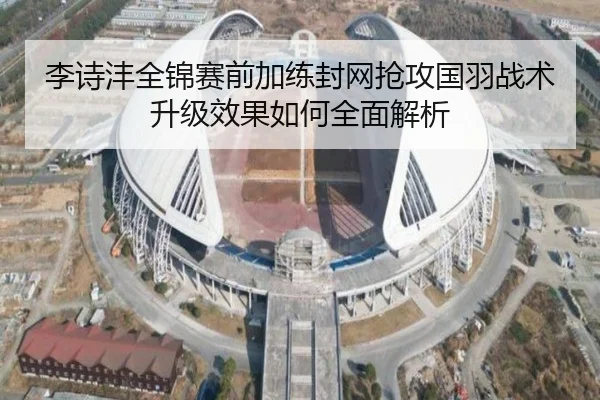 李诗沣全锦赛前加练封网抢攻国羽战术升级效果如何全面解析（WANBOSPORTS）